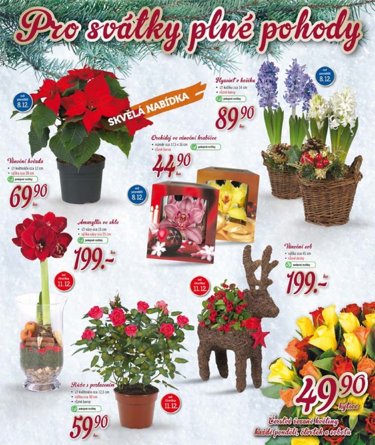 letk Lidl Akn nabdka od 8.12.2014 strana 1