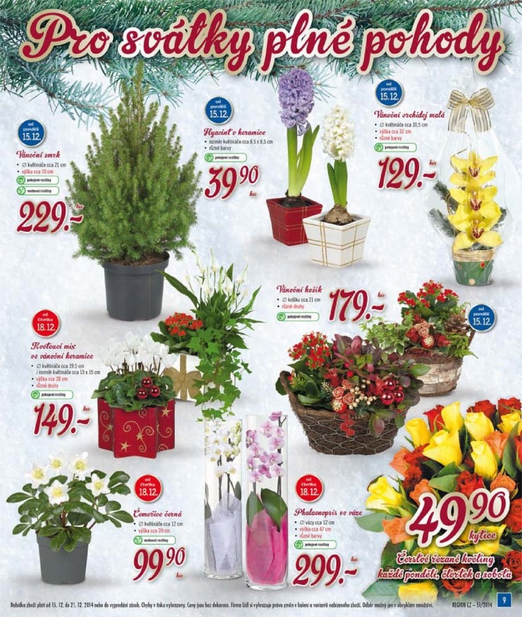 letk Lidl Akn nabdka od 15.12.2014 strana 1