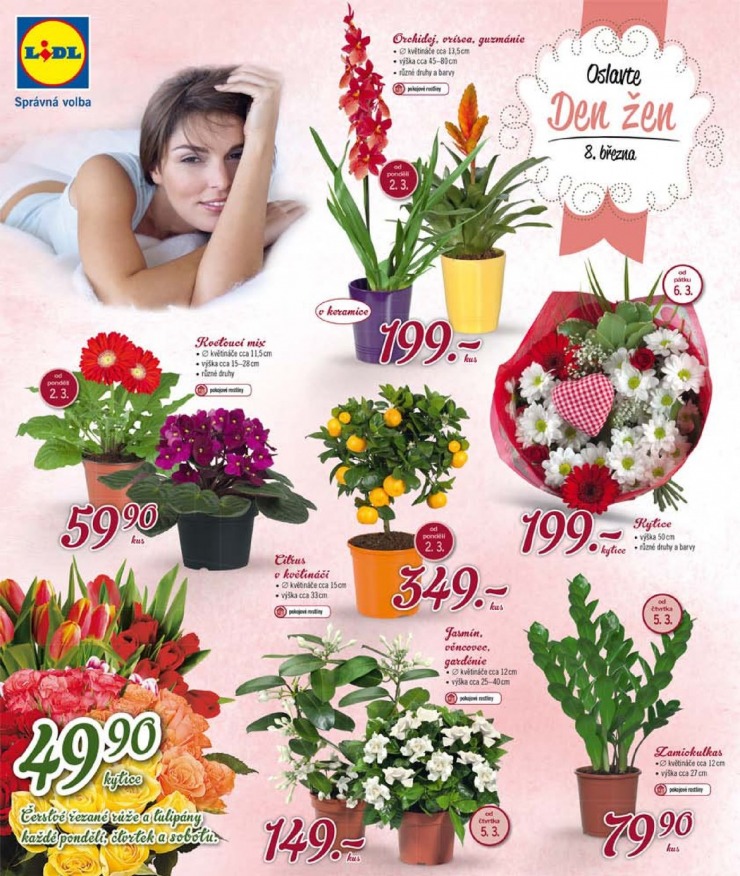leták Lidl Akční nabídka od 2.3.2015 strana 1 leták Lidl Akční nabídka od 2.3.2015 strana 1