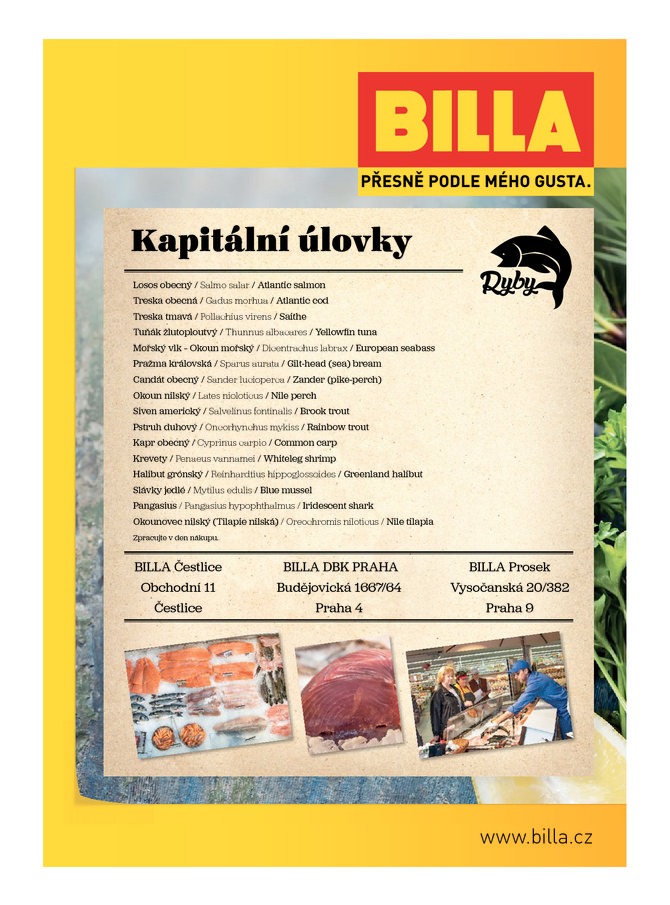 letk Billa erstv ryby od 12.08.2015 strana 1