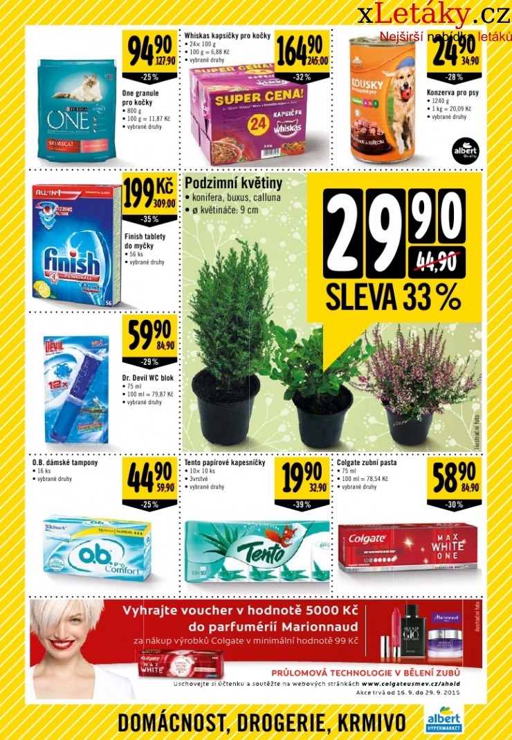 letk Albert Hypermarket letk strana 1